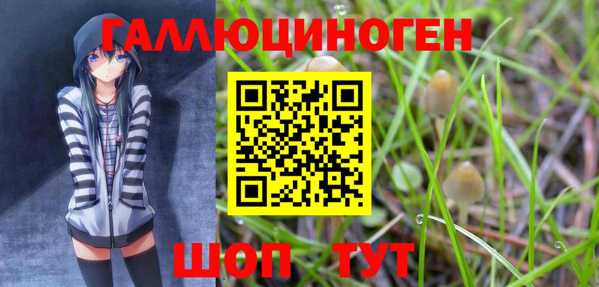 Котовск  Галлюциногенные грибы Cubensis  Вход с VPN 